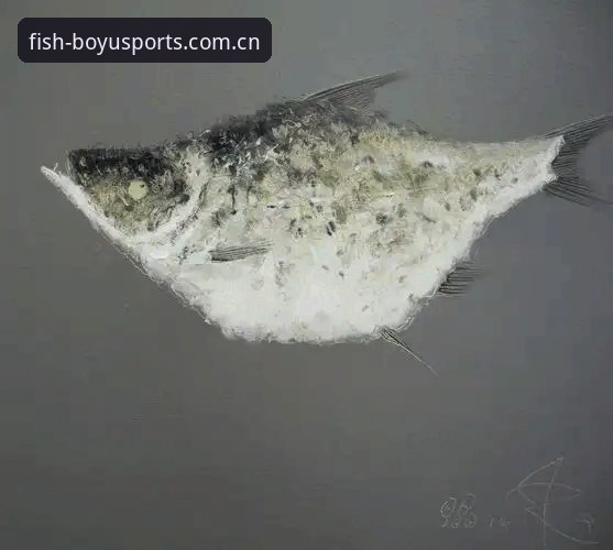 博鱼体育官网入口使用指南最新动态：新手如何快速上手v2.3.5版本
